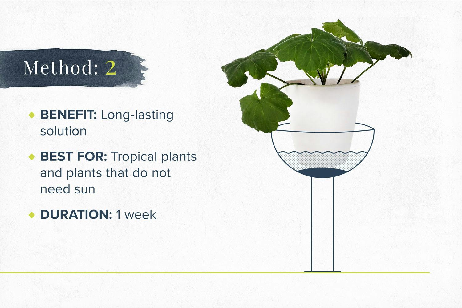 how-to-water-plants-on-vaction-method2-1