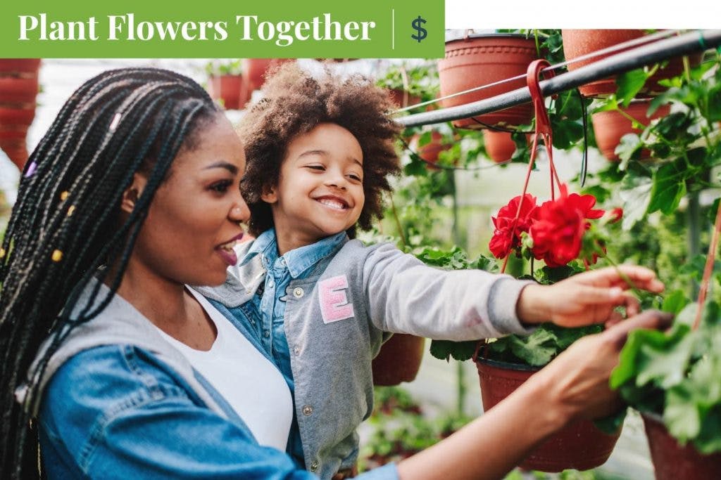 plant-flowers-mothers-day-activities