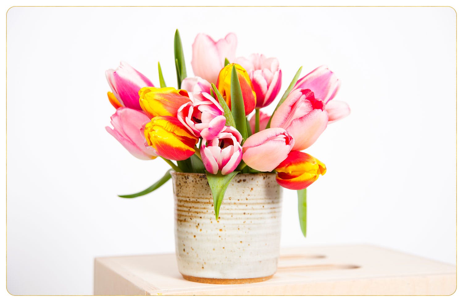 Tulip Care Guide: How to Care for Tulips + Growing Tips