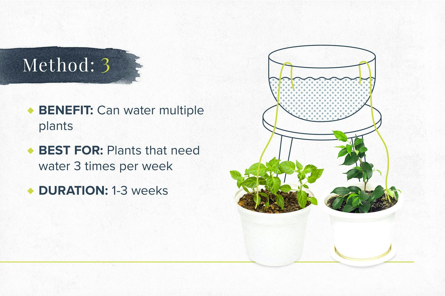 how-to-water-plants-on-vaction-method3-2