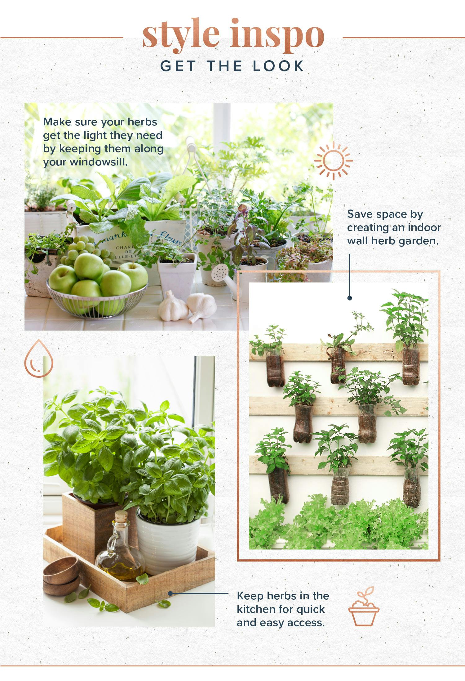 indoor-herb-garden-syle-inspo