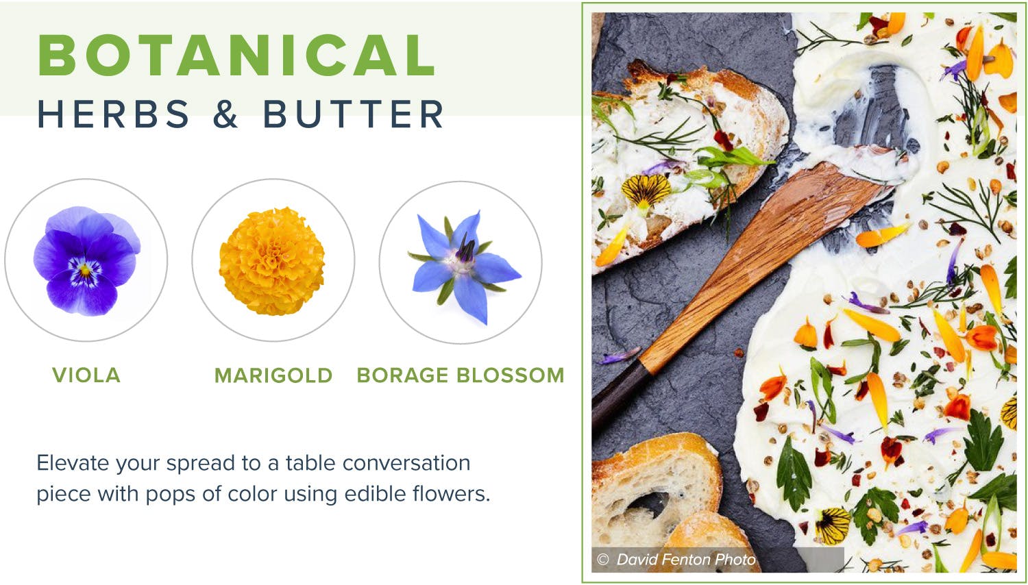 edible-flowers-botanical-butter-v2