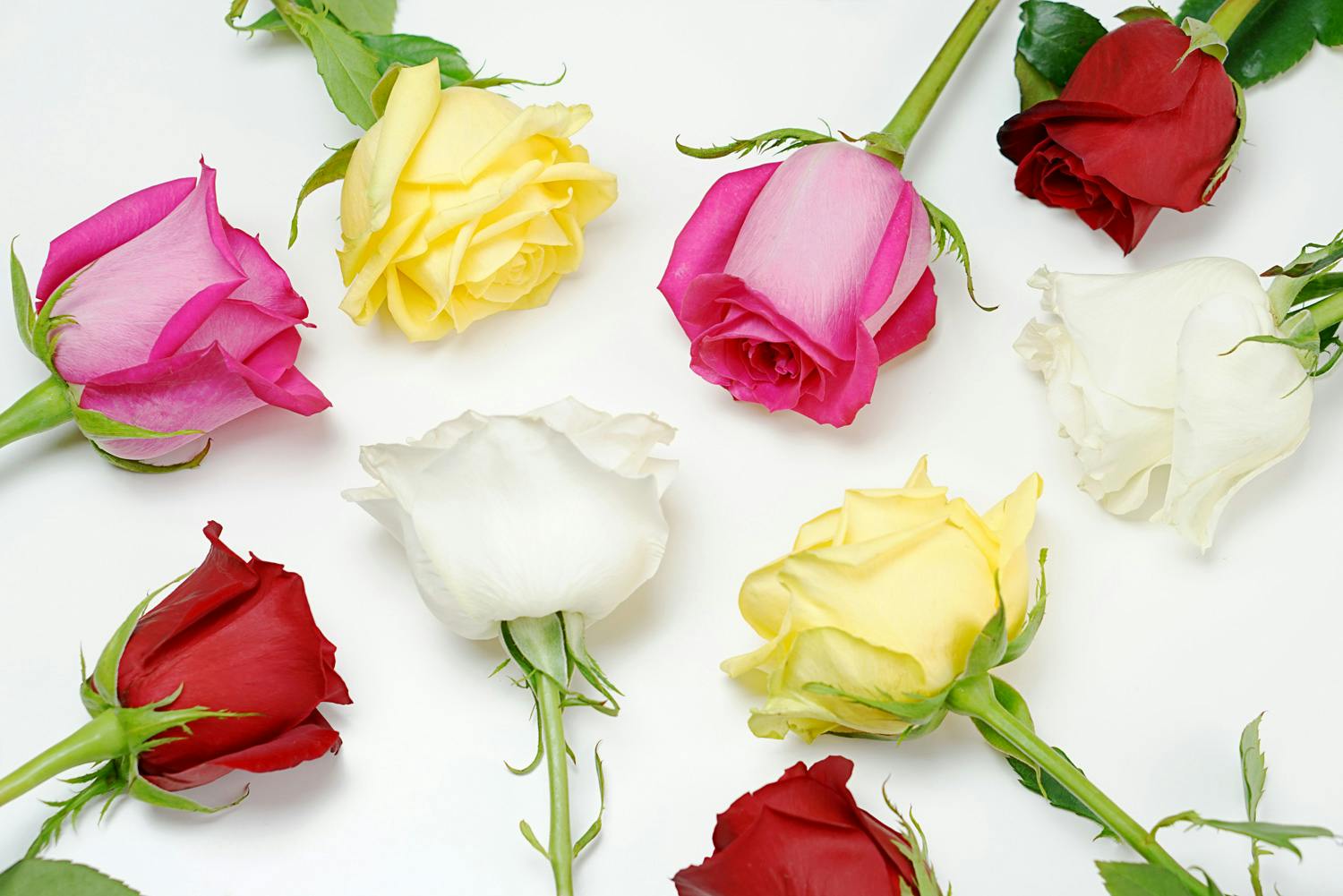 How to Make Flowers Last Longer: 9 Tricks