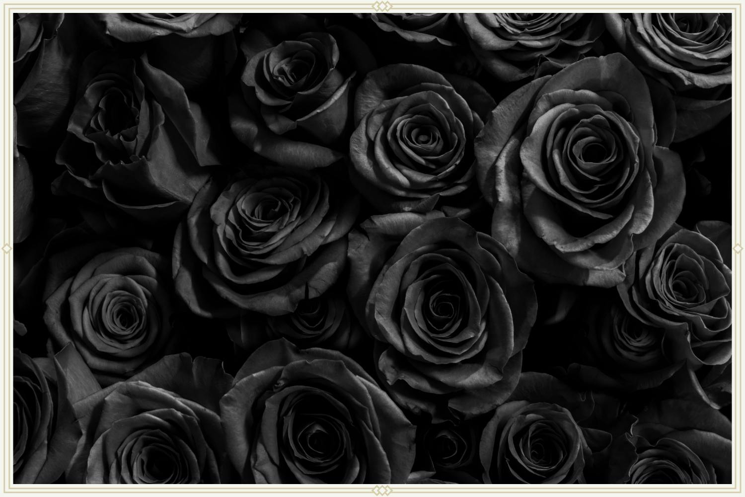 12-black-roses