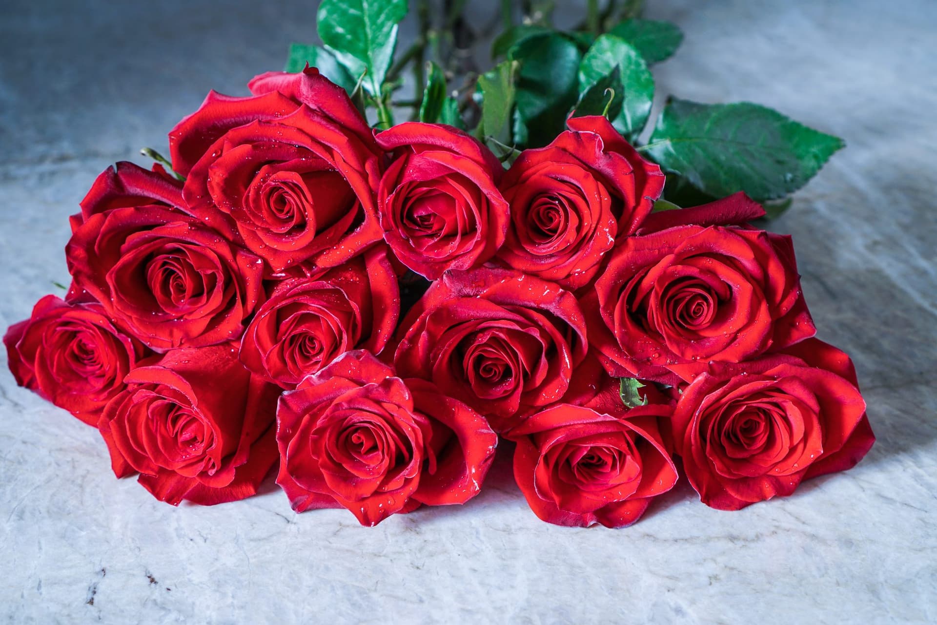 A Dozen Red Roses - why Red Rose is Symbol of Love