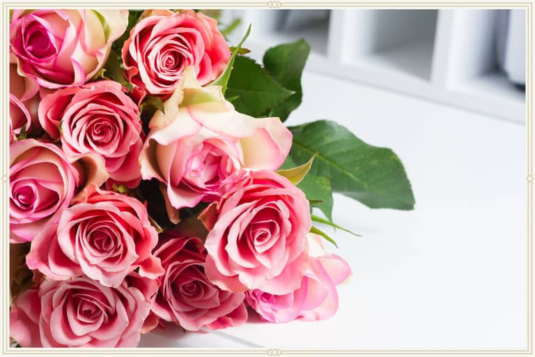 The Complete Rose Color Meanings Guide | ProFlowers